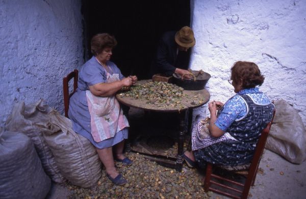 Almond Shelling - Mecina Fondales - Spain 1989