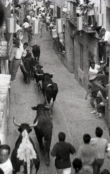 Encierro - Pastrana - Spain 1990