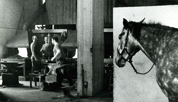 Household Cavalry Blacksmiths - London 1982