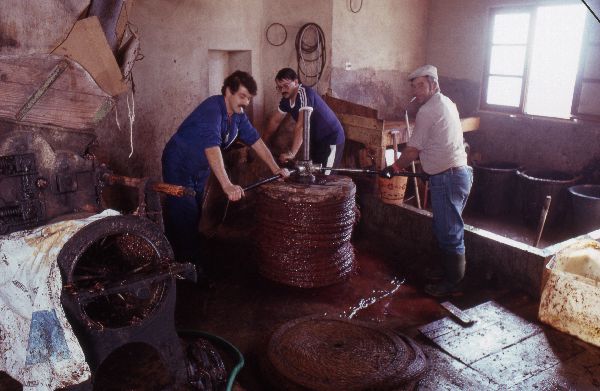 Wine Press - Cómpeta - Spain 1987